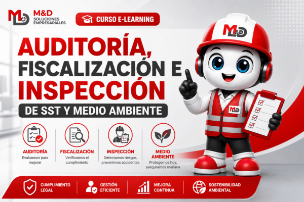 PORTADA AUDITORIA